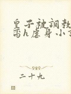 皇子被调教成禁脔h虐身小说最新章节封面
