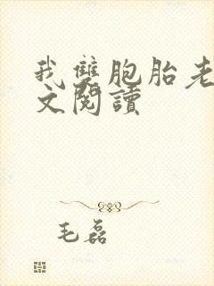 我双胞胎老婆全文阅读