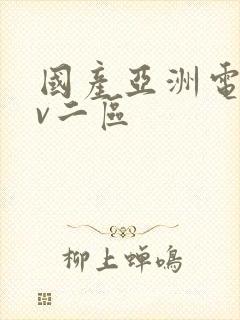 国产亚洲电影av二区封面