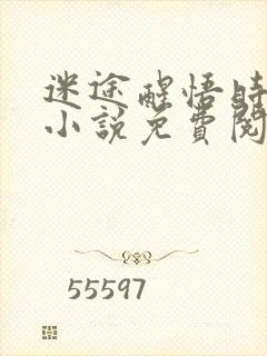 迷途醒悟时原著小说免费阅读