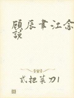 顾辰聿江念棠小说
