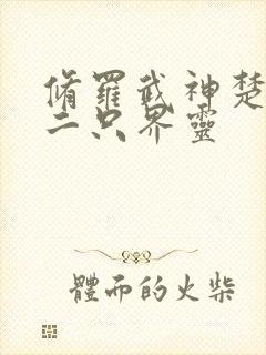 修罗武神楚枫第二只界灵