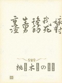 重生后我嫁给了渣男的死对头在线版封面