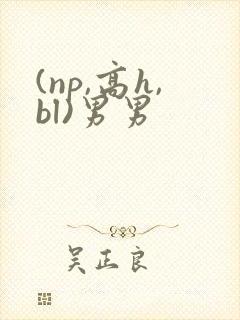 (np,高h,bl)男男