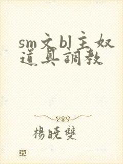 sm文bl主奴道具调教