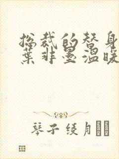 总裁的替身前妻叶非墨温暖全文免费阅读下载