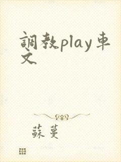 调教play车文