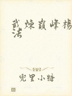 武炼巅峰杨开功法
