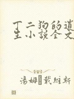 丁二狗的逍遥人生小说全文无删减txt