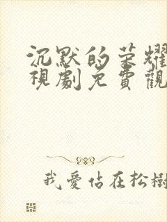 沉默的荣耀 电视剧免费观看