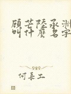 顾芒陆承洲小说叫什么名字