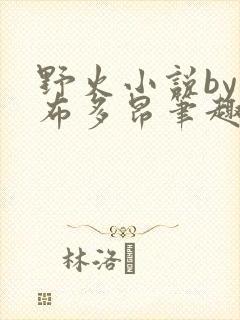 野火小说by夏布多昂笔趣阁