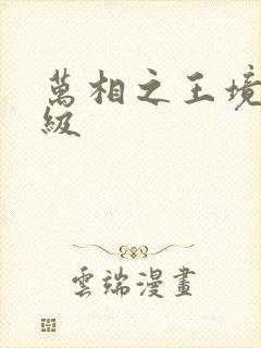 万相之王境界等级封面
