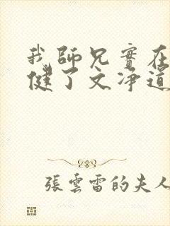 我师兄实在太稳健了文净道人结局