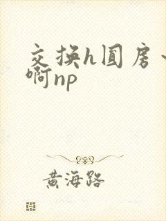 交换h圆房~嗯啊np