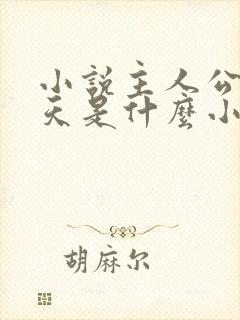 小说主人公杨小天是什么小说