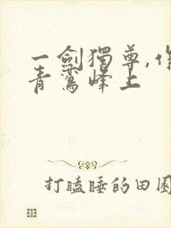 一剑独尊,作者青鸾峰上封面