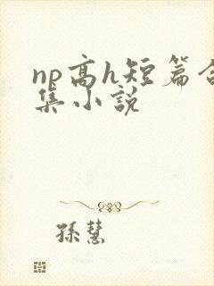 np高h短篇合集小说封面