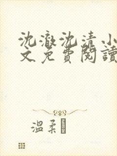 沈澈沈清小说全文免费阅读最新章节封面