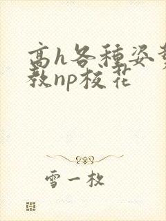 高h各种姿势调教np校花