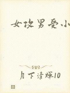 女攻男受小说文