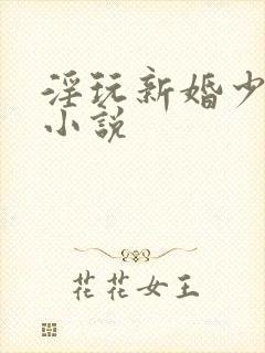 淫玩新婚少妇的小说