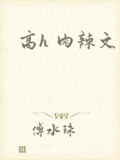 高h 肉辣文