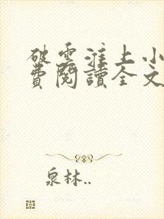 破云淮上小说免费阅读全文