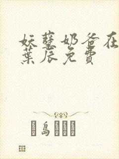 妖孽奶爸在都市叶辰免费