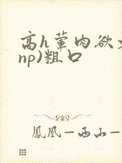 高h荤肉欲文(np)粗口