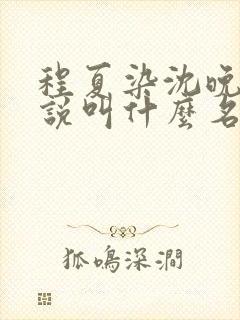 程夏染沈晚棠小说叫什么名字