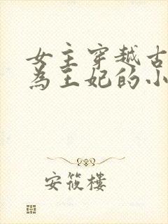 女主穿越古代成为王妃的小说