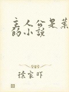 主人公是叶小天的小说封面