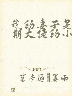 我的妻子是大乘期大佬的小说封面