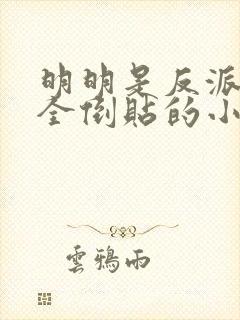 明明是反派女主全倒贴的小说