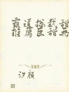 霸道总裁甜宠文推荐巨甜无虐