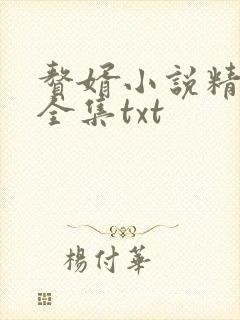 赘婿小说精校版全集txt