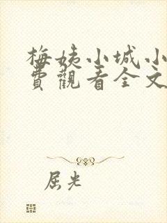 梅姨小城小说免费观看全文