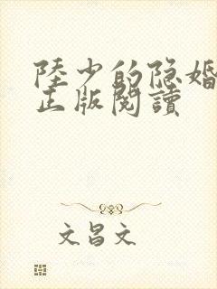陆少的隐婚罪妻正版阅读封面