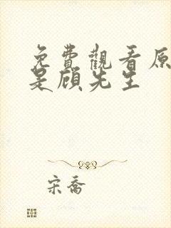 免费观看原来你是顾先生封面