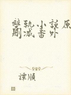 双轨小说原著未删减番外