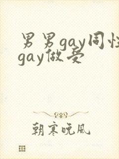 男男gay同性gay做受