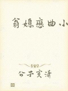 翁媳恋曲小说