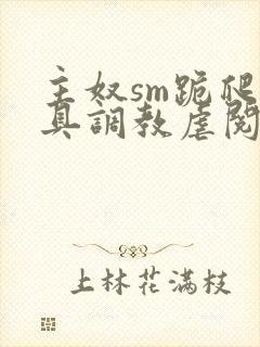 主奴sm跪爬道具调教虐阅读