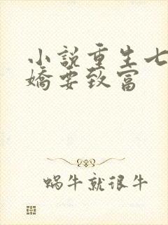 小说重生七六宠娇要致富封面
