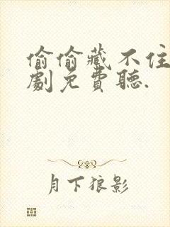 偷偷藏不住广播剧免费听.封面