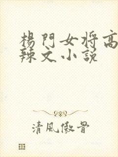 杨门女将高h文辣文小说