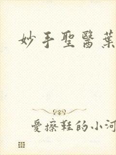 妙手圣医叶皓轩封面