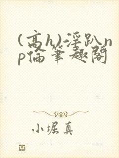(高h)淫趴np伦笔趣阁