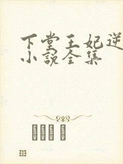 下堂王妃逆袭记小说全集封面